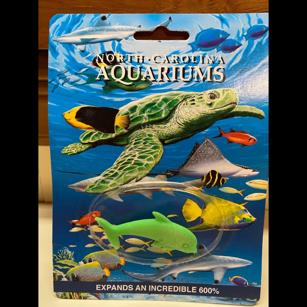 North Carolina aquarium expandable sea creature